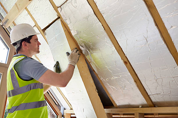 Best Geographic-Specific Insulation Services in Corpus Christi, TX