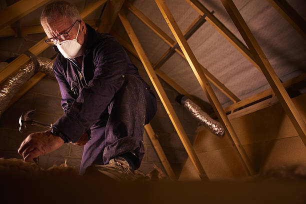 Best Cellulose Insulation in Corpus Christi, TX